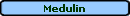 Medulin