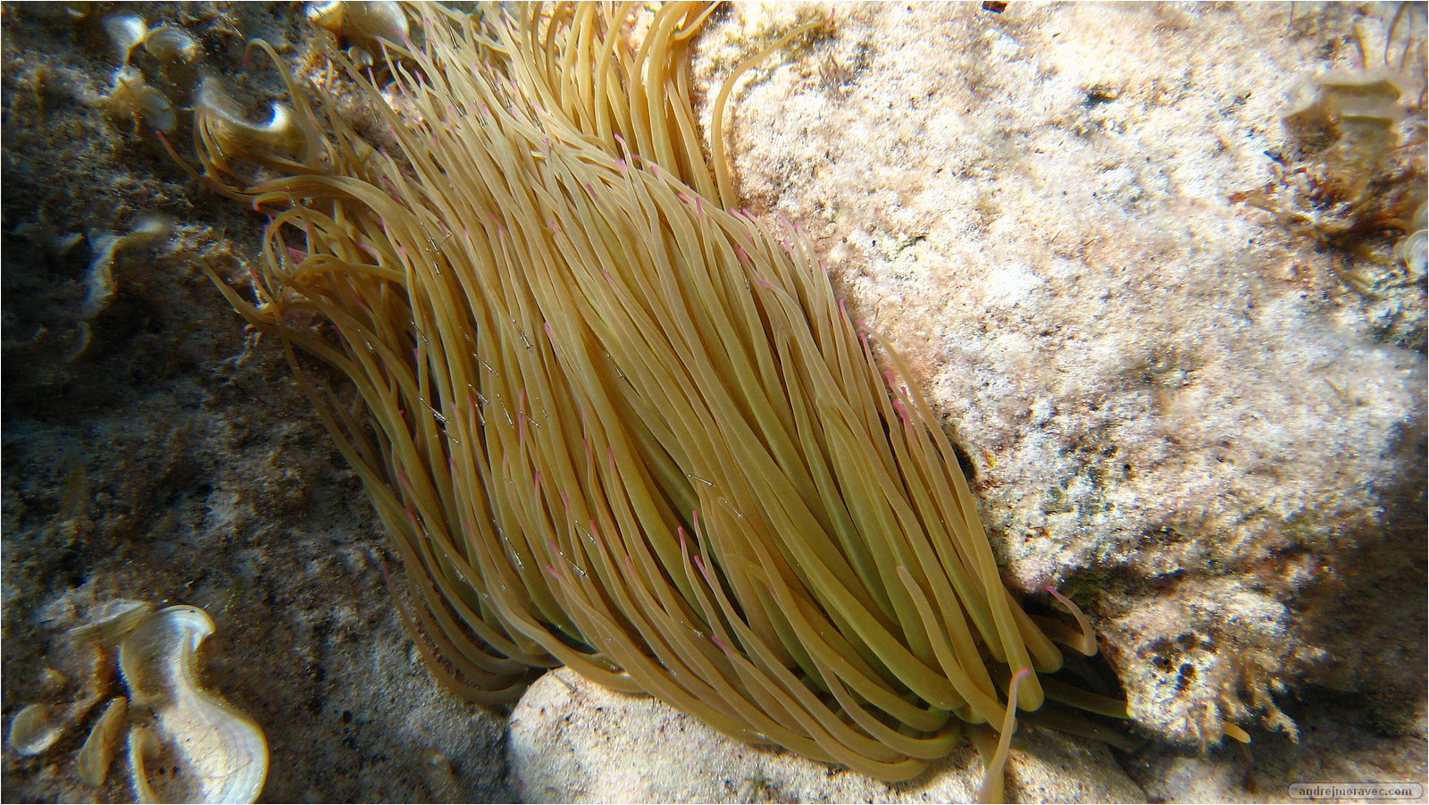 IMG_6458.JPG