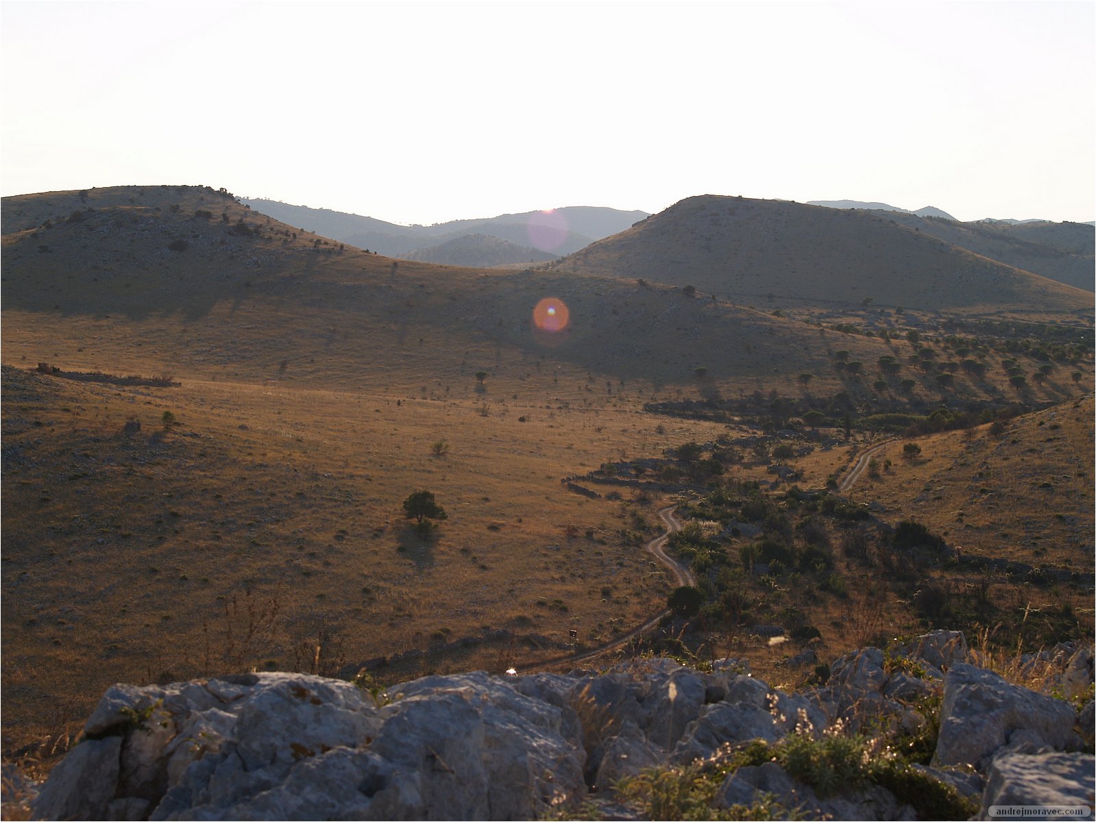 P7168409.JPG