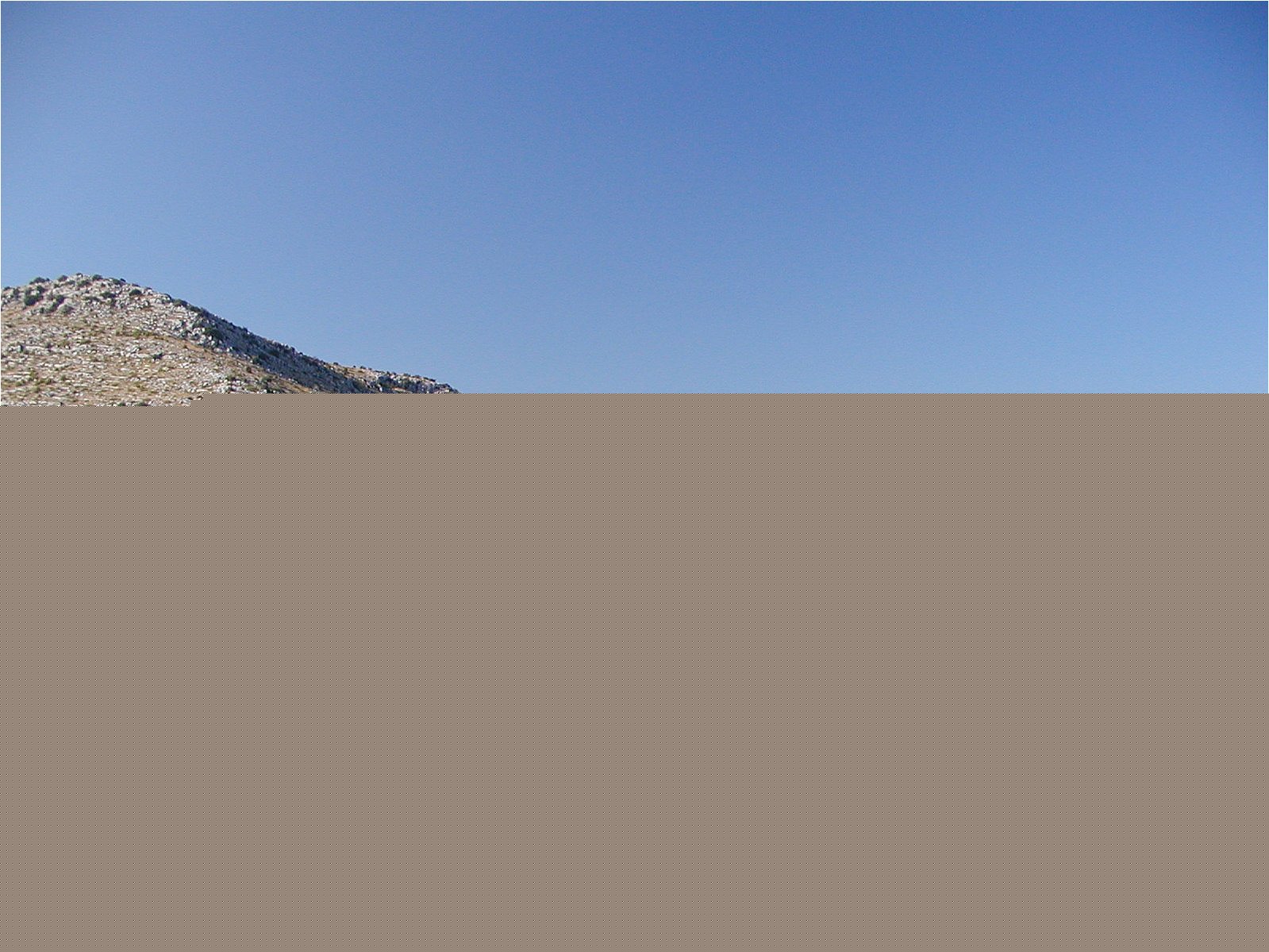 P7191753.JPG