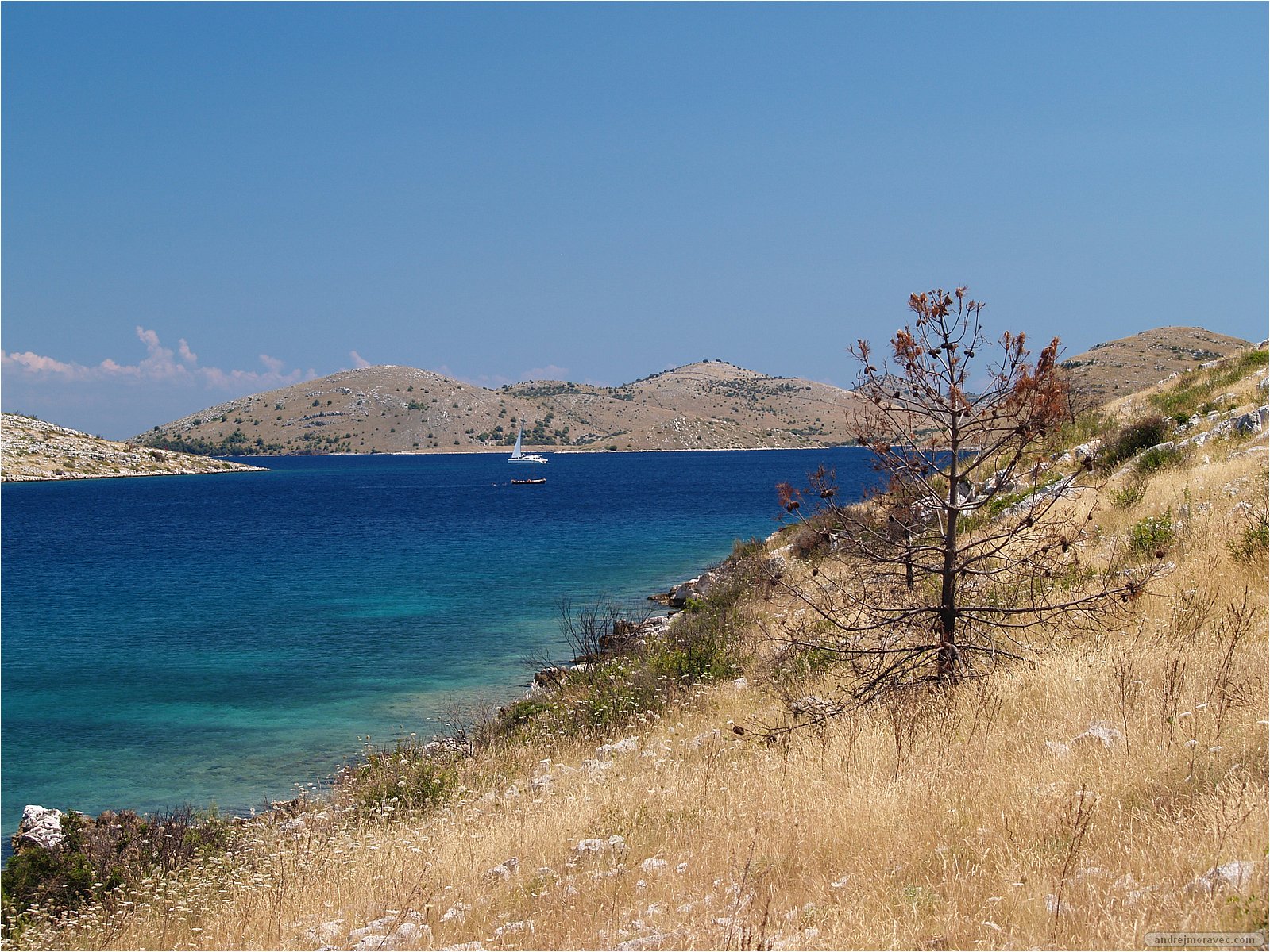 P7198712.JPG