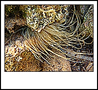 IMG_1999.JPG